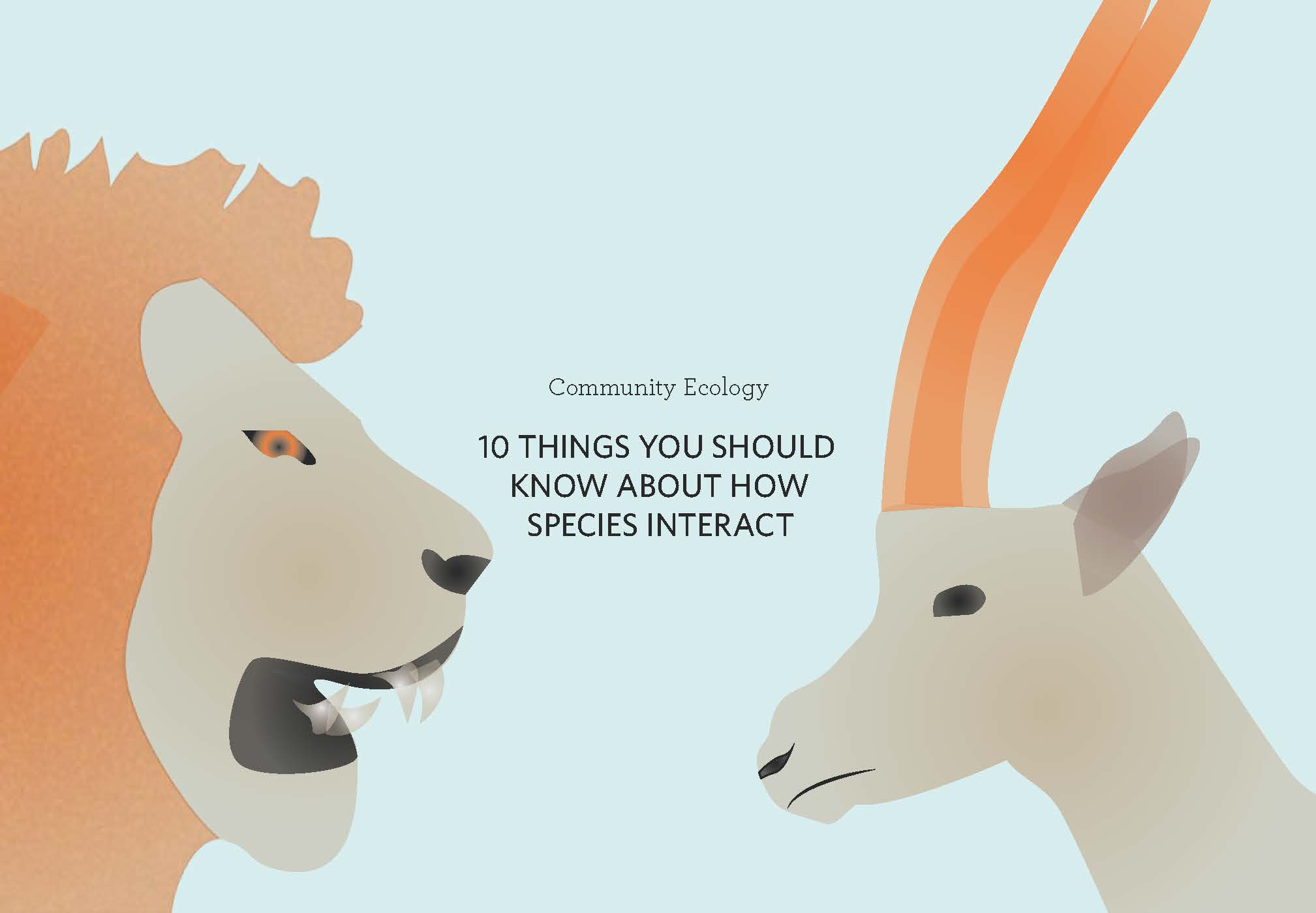 How Species Interact
