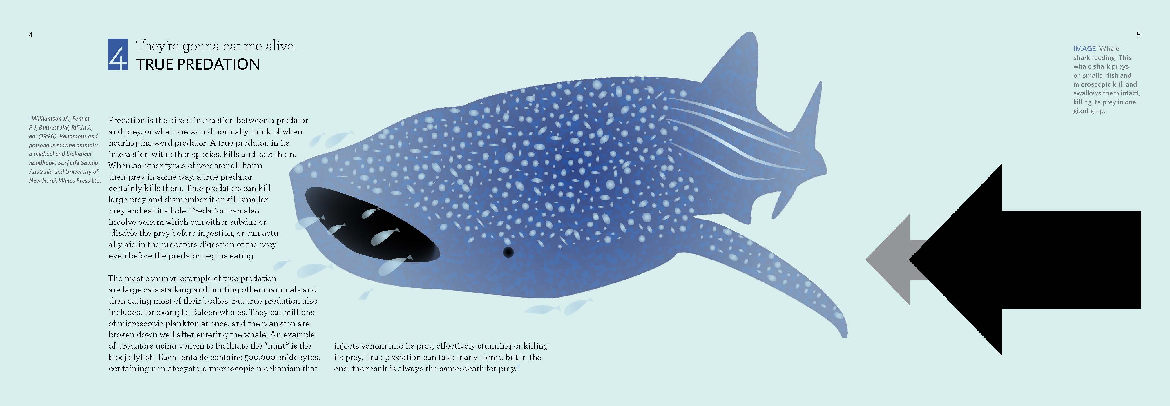 How Species Interact