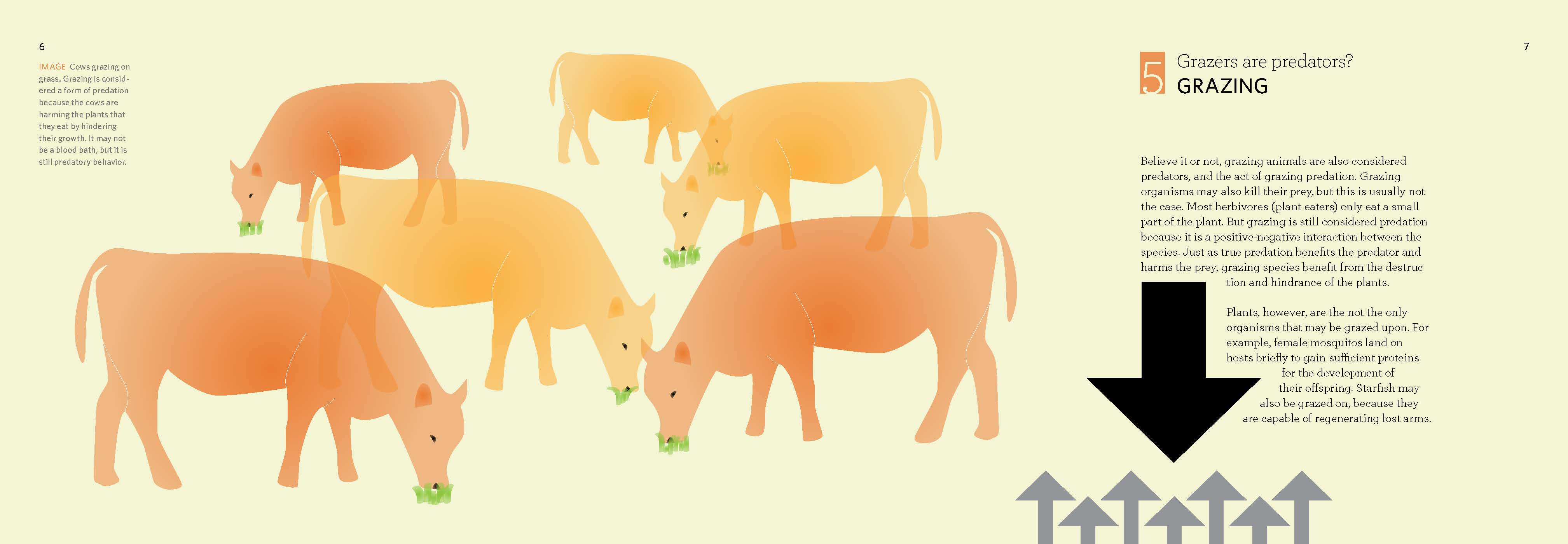 How Species Interact