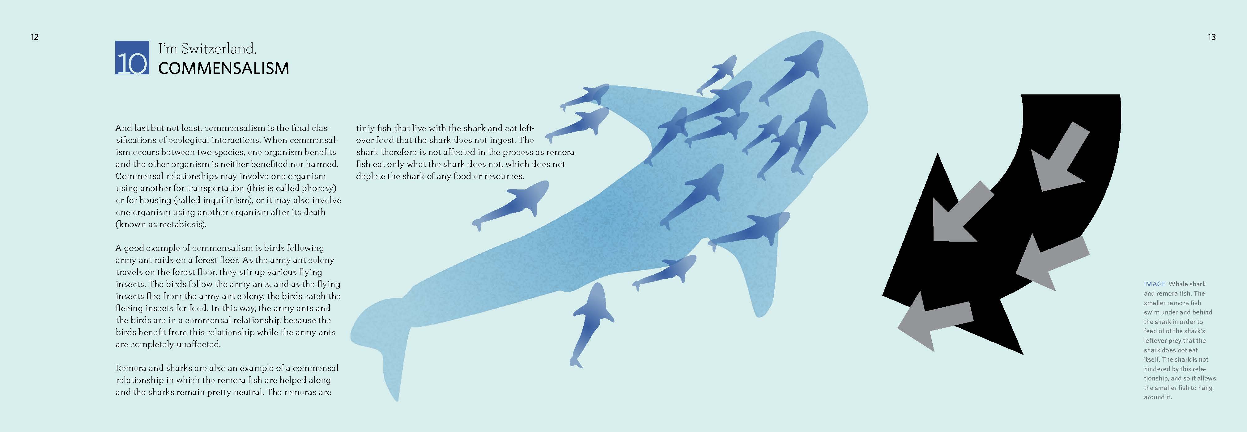 How Species Interact
