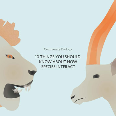 How Species Interact
